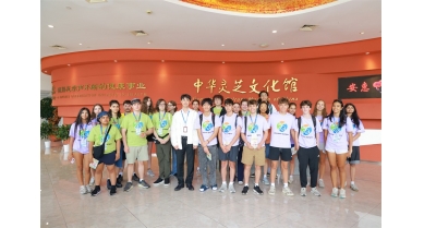 专题报道